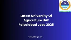 Latest University Of Agriculture UAF Faisalabad Jobs 2025